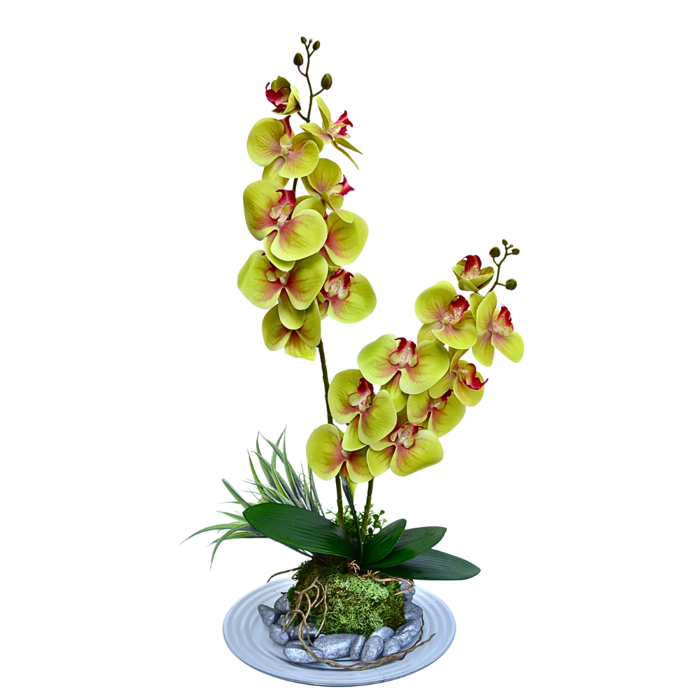 Orhidee artificiala in baza de sticla FITO 74 cm