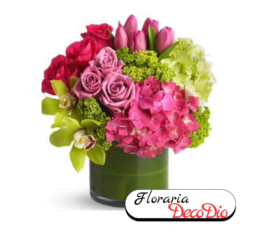 Aranjament mixt Jobel